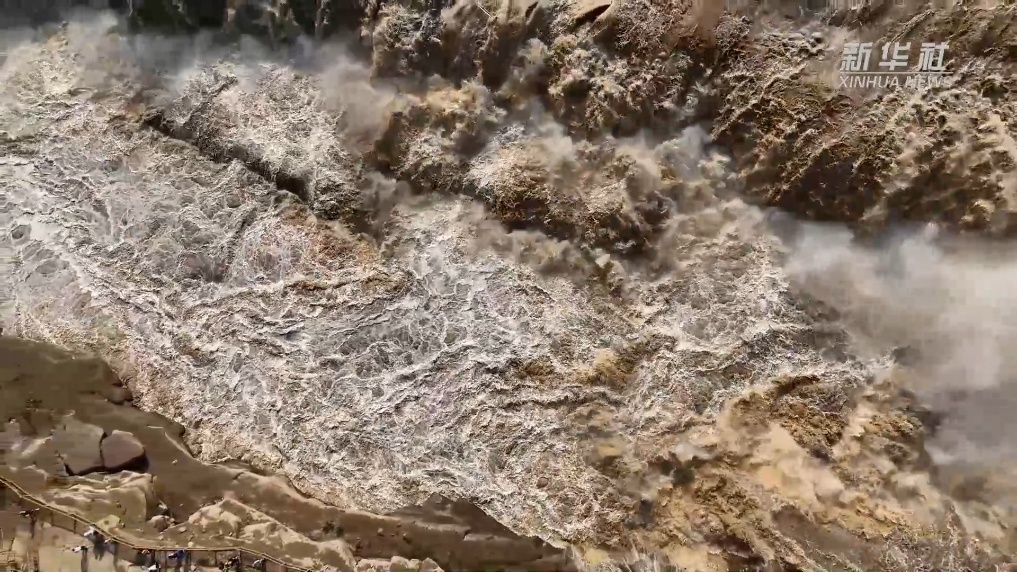 庄龙宝是什么意思